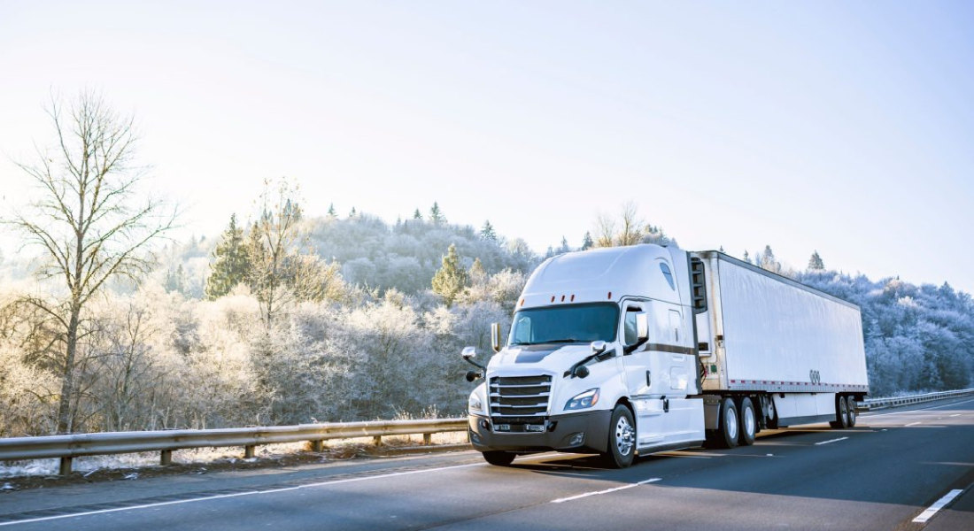 Refrigerated Shipping vs Standard Shipping - Choosing the Right Transportation Solution